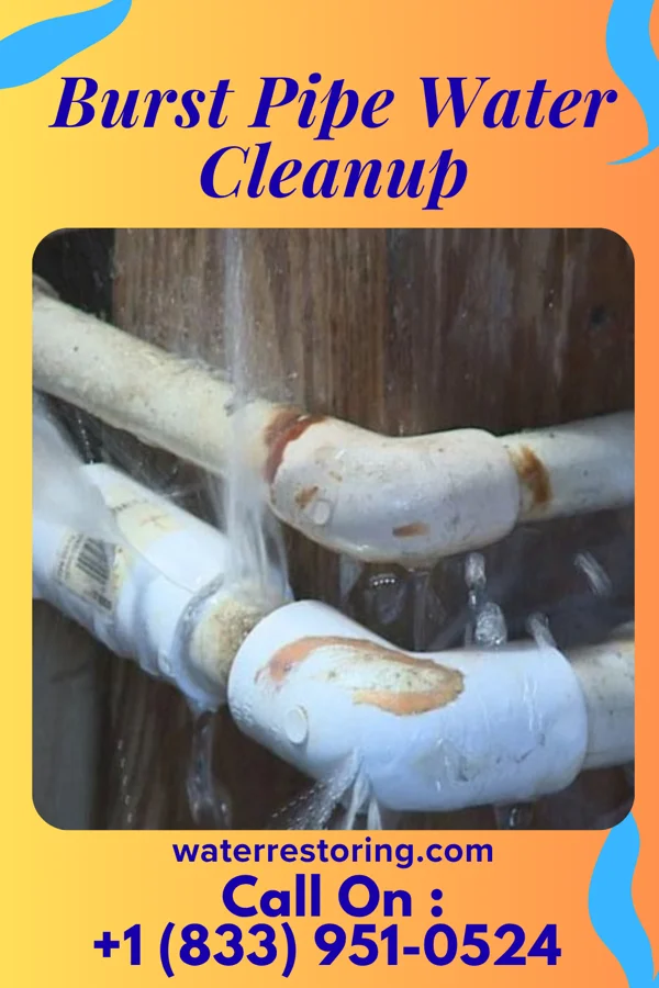 Burst Pipe Water Cleanup in Kelliher, MN