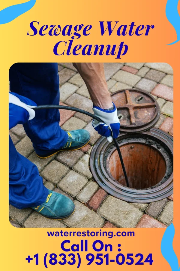 Sewage Water Cleanup in Kelliher, MN